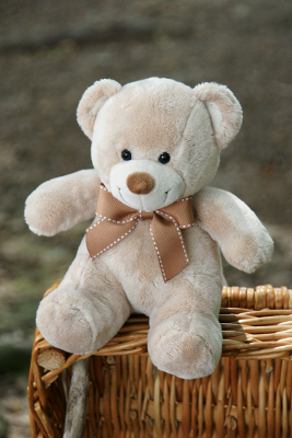 Ourson, par Xavier E. G. Dierick